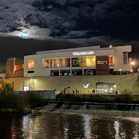 Walkergate during Lumiere 2021